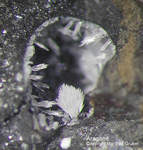 Lavrion Mineralien Passa Limani Aragonit
