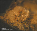 Lavrion Mineralien Passa Limani Aragonit