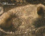 Lavrion Mineralien Passa Limani Aragonit
