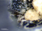 Lavrion Mineralien Passa Limani Cerussit Schwarzbleierz