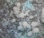 Griechenland Lavrion Mineralien Sounion Hydrotalkit