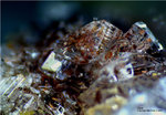 Griechenland Lavrion Mineralien Villia Gips
