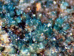 Griechenland Lavrion Mineralien Villia Ktenasit