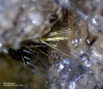 Griechenland Lavrion Mineralien Villia Sklodowskit