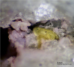 Bayern Mineralien Silbergrube Waidhaus Autunit
