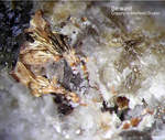 Bayern Mineralien Silbergrube Waidhaus Beraunit