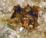 Bayern Mineralien Silbergrube Waidhaus Beraunit