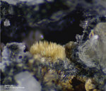Bayern Mineralien Silbergrube Waidhaus Beraunit