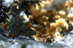 Bayern Mineralien Silbergrube Waidhaus Beraunit