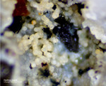 Bayern Mineralien Silbergrube Waidhaus Hydroxylapatit