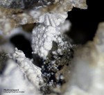 Bayern Mineralien Silbergrube Waidhaus Hydroxylapatit