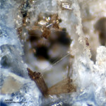 Bayern Mineralien Silbergrube Waidhaus Jahnsit