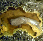 Mineralien Bayern Hagendorf Süd Goethit