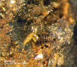 Bayern Mineralien Hagendorf Süd Stewartit