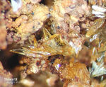 Bayern Mineralien Hagendorf Süd Stewartit