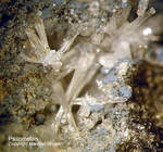 Bayern Mineralien Maroldsweisach Zeilberg Psilomelan