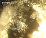 Bayern Mineralien Maroldsweisach Zeilberg Psilomelan
