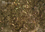 Bayern Mineralien Maroldsweisach Zeilberg Pyrit