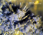 Bayern Mineralien Maroldsweisach Zeilberg Saponit