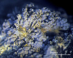 Bayern Mineralien Maroldsweisach Zeilberg Saponit