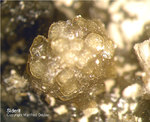 Bayern Mineralien Maroldsweisach Zeilberg Siderit