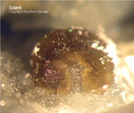 Bayern Mineralien Maroldsweisach Zeilberg Siderit