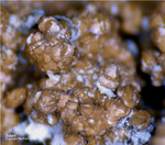 Bayern Mineralien Maroldsweisach Zeilberg Siderit