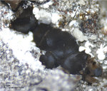 Bayern Mineralien Maroldsweisach Zeilberg Siderit