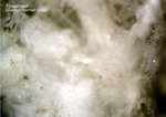 Bayern Mineralien Maroldsweisach Zeilberg Thaumasit