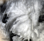 Bayern Mineralien Maroldsweisach Zeilberg Tobermorit