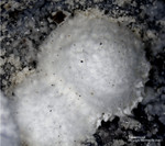 Bayern Mineralien Maroldsweisach Zeilberg Tobermorit