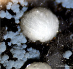 Bayern Mineralien Maroldsweisach Zeilberg Thomsonit
