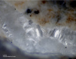 Eifel Mineralien Bellerberg Larnit