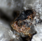 Eifel Mineralien Bellerberg Lepidokrokit