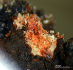 Harz Mineralien Silberhütte Altenau Lithargit