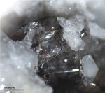 Harz Mineralien Gabbro Axinit