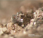 Eifel Mineralien Bellerberg Osumilith
