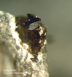Eifel Mineralien Bellerberg Osumilith