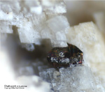 Eifel Mineralien Bleialf Chalkopyrit