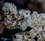 Eifel Mineralien Bleialf Dolomit