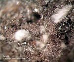Eifel Mineralien Nickenicher Sattel Mullit