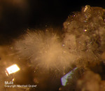 Eifel Mineralien Nickenicher Sattel Mullit