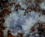 Eifel Mineralien Nickenicher Sattel Mullit