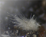 Eifel Mineralien Nickenicher Sattel Mullit