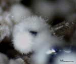 Eifel Mineralien Nickenicher Sattel Mullit