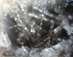 Eifel Mineralien Nickenicher Sattel Mullit