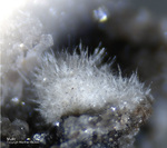 Eifel Mineralien Nickenicher Sattel Mullit
