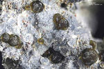 Eifel Mineralien Wingertsberg Magnesit