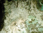 Mineralien Mansfelder Revier Eckhardthütte Aragonit