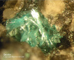 Mineralien Mansfelder Revier Eckhardthütte Devillin